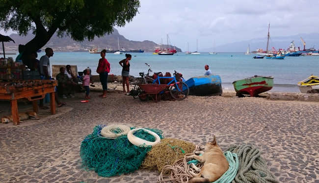 Vissersbootjes en hondje slaapt op een net