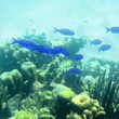 Onderwaterwereld